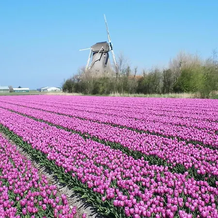 Bed & Breakfast De Keinsmer 't Zand