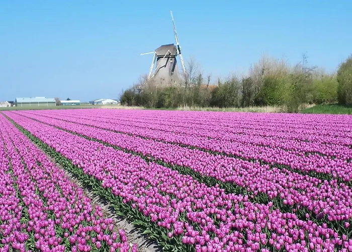 Bed & Breakfast De Keinsmer 't Zand